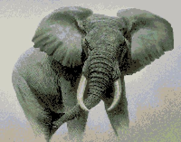 Вышитая картинка с изображения Африканский слон Размер 200*157 стежков