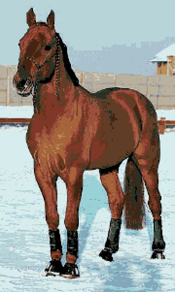 Вышитая картинка с изображения Рыжий конь Размер 180*301 стежков