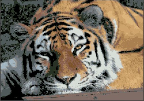 Вышитая картинка с изображения Тигр 2 Размер 250*175 стежков